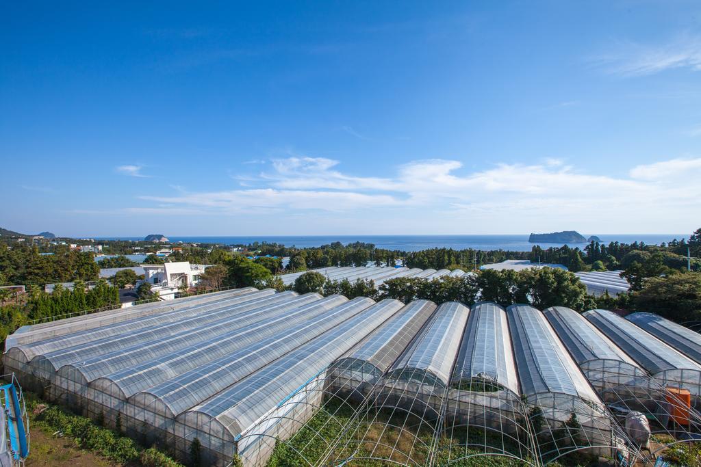 Fellisia Hotel Szogüpho Kültér fotó